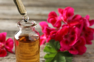 Photo of Geranium essential oil dripping from pipette into bottle on table, closeup