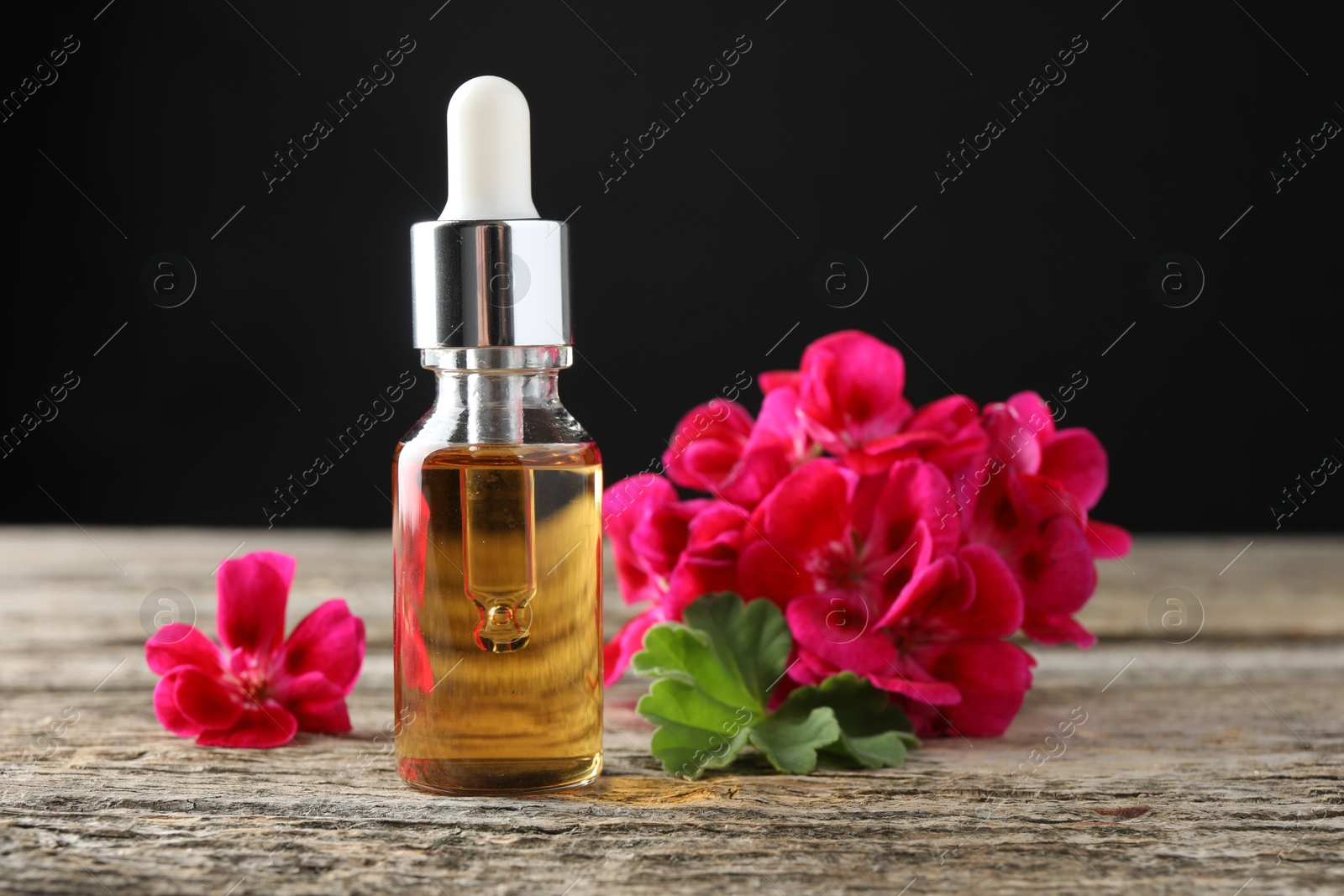 Photo of Bottle of geranium essential oil and beautiful flowers on wooden table, closeup