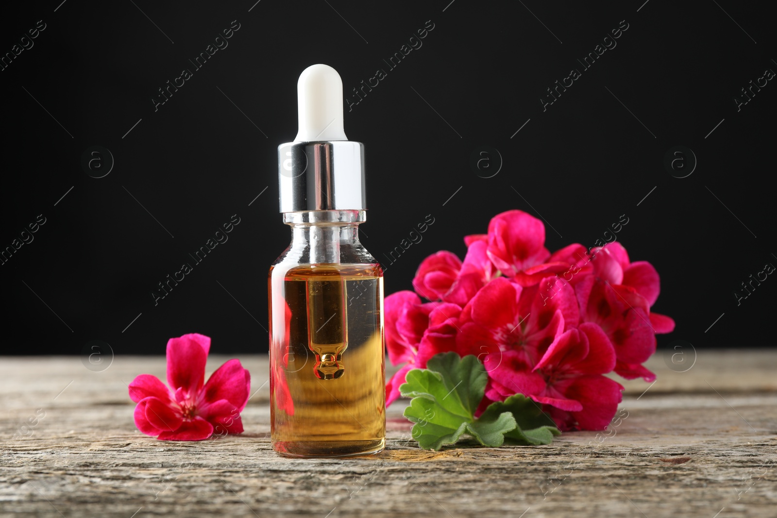 Photo of Bottle of geranium essential oil and beautiful flowers on wooden table, closeup