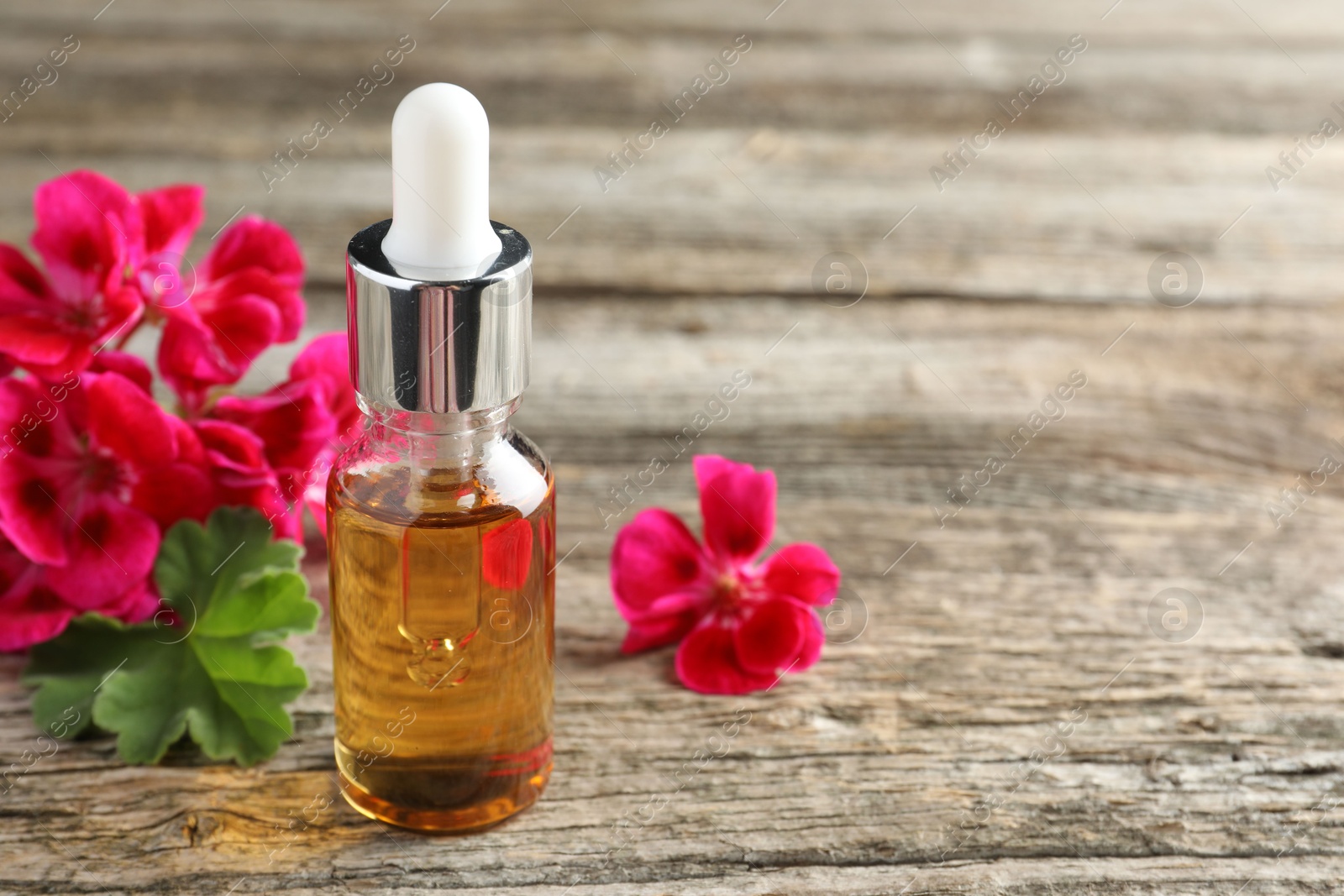 Photo of Bottle of geranium essential oil and beautiful flowers on wooden table, closeup. Space for text