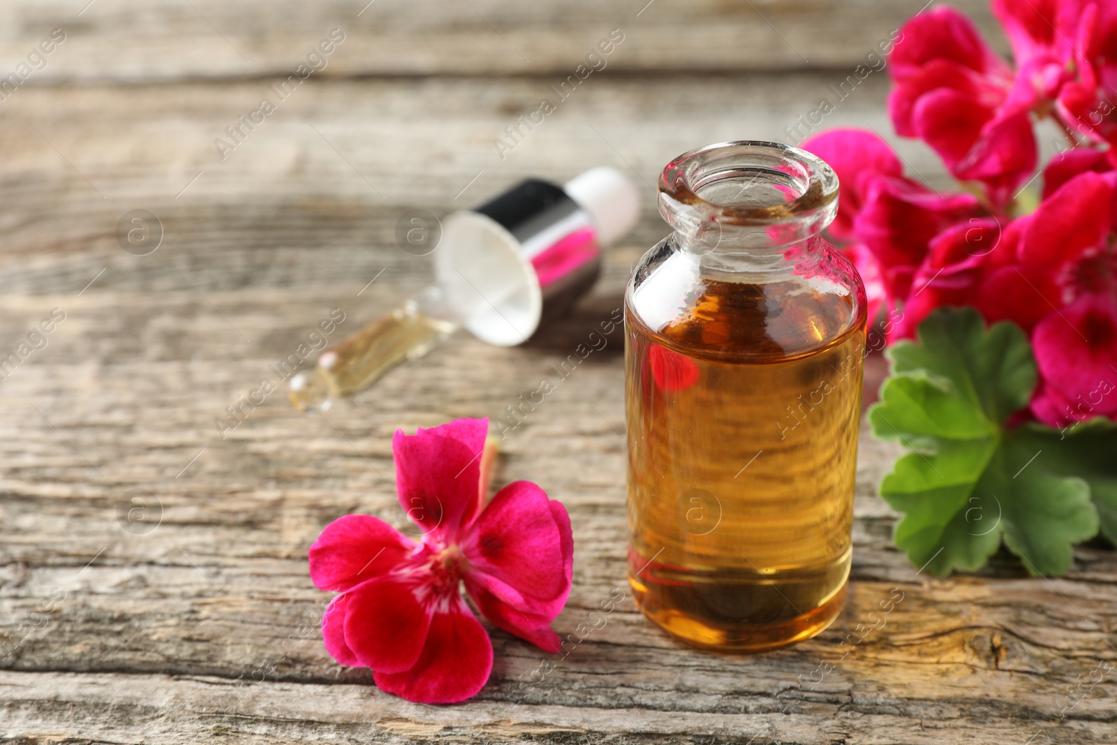 Photo of Bottle of geranium essential oil, pipette and beautiful flowers on wooden table, closeup