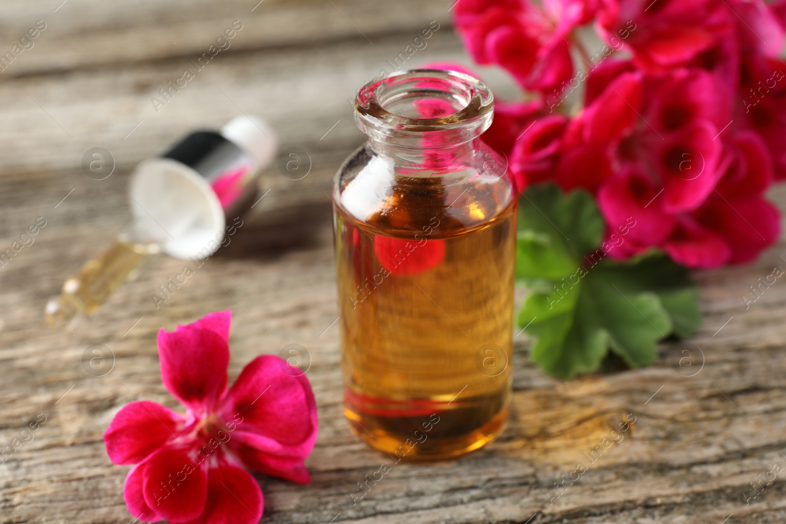 Photo of Bottle of geranium essential oil, pipette and beautiful flowers on wooden table, closeup