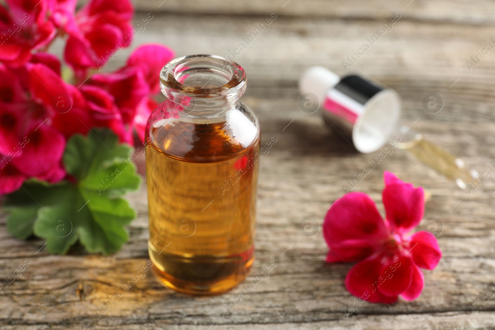 Photo of Bottle of geranium essential oil, pipette and beautiful flowers on wooden table, closeup