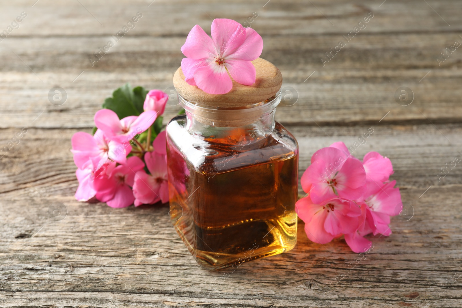 Photo of Bottle of geranium essential oil and beautiful flowers on wooden table, closeup