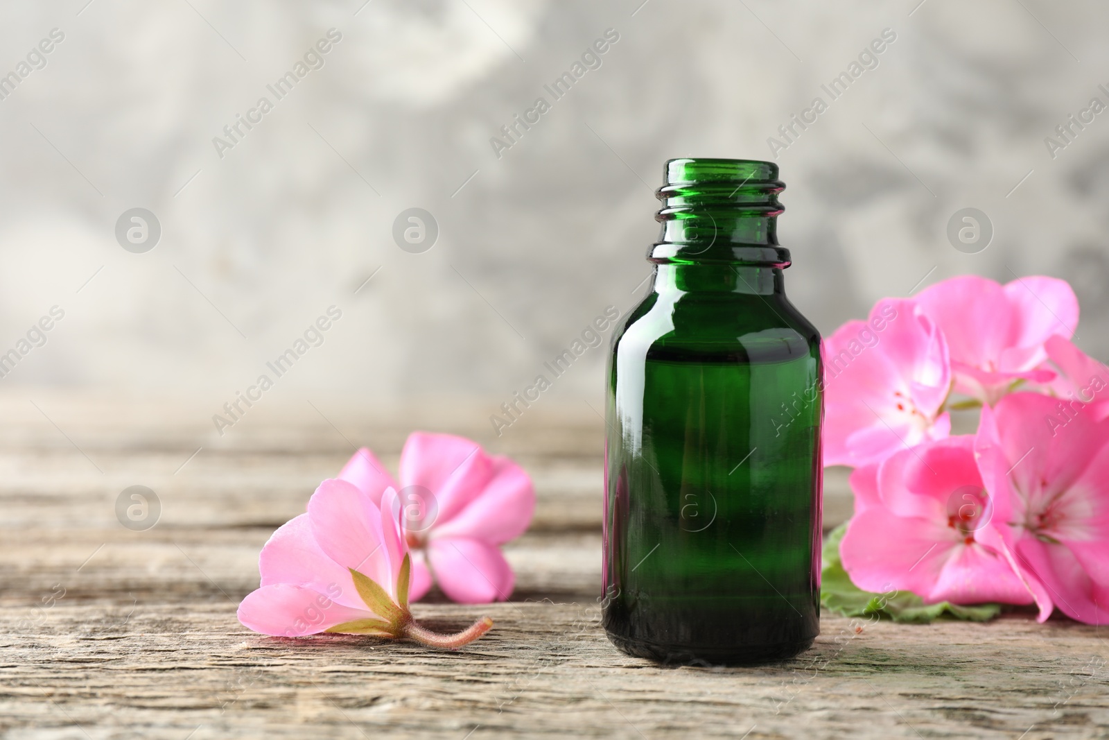 Photo of Bottle of geranium essential oil and beautiful flowers on wooden table, closeup. Space for text