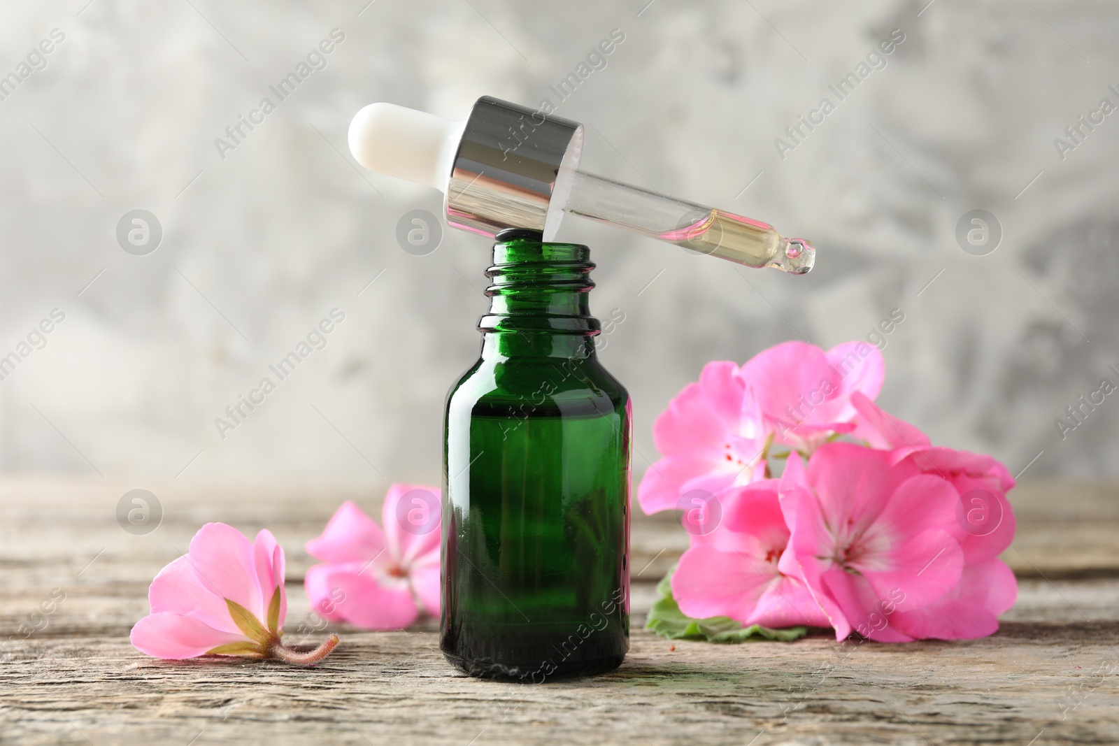 Photo of Geranium essential oil in bottle, pipette and beautiful flowers on wooden table, closeup