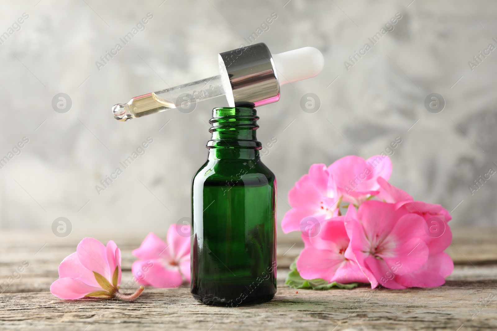 Photo of Geranium essential oil in bottle, pipette and beautiful flowers on wooden table, closeup