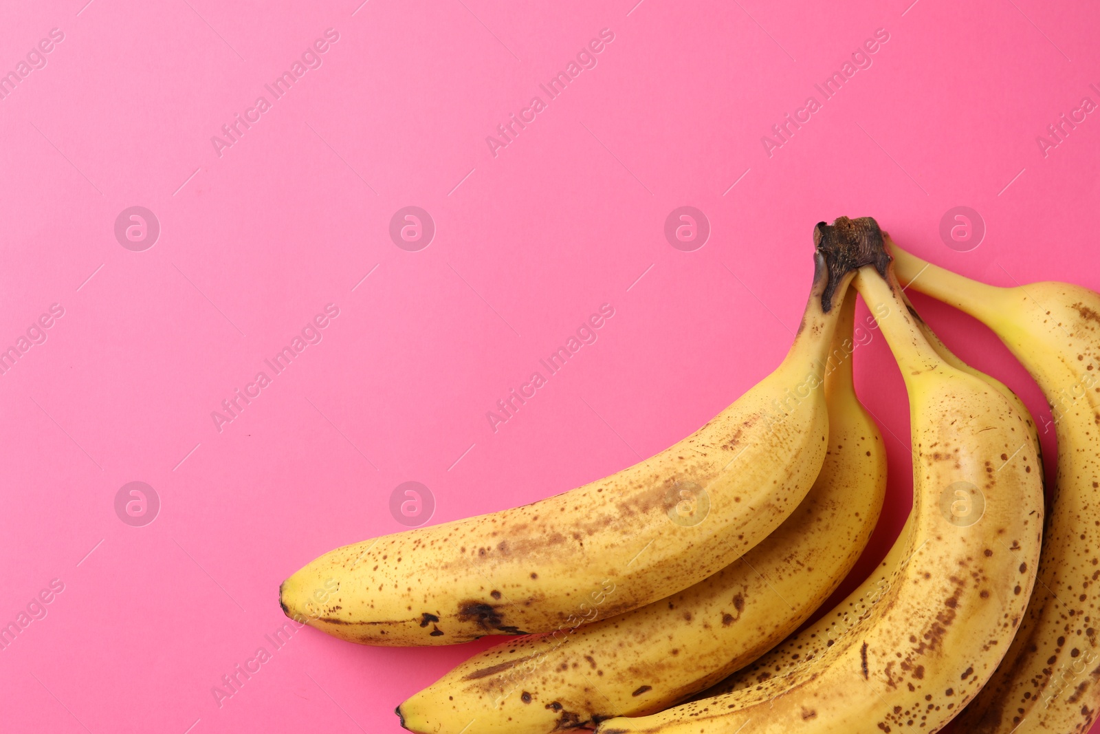 Photo of Bunch of ripe bananas with dark spots on pink background, top view. Space for text