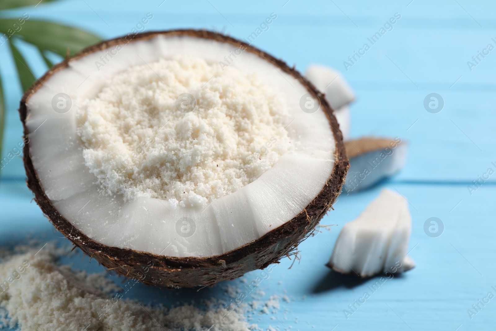 Photo of Fresh coconut flour in nut on light blue wooden table, closeup