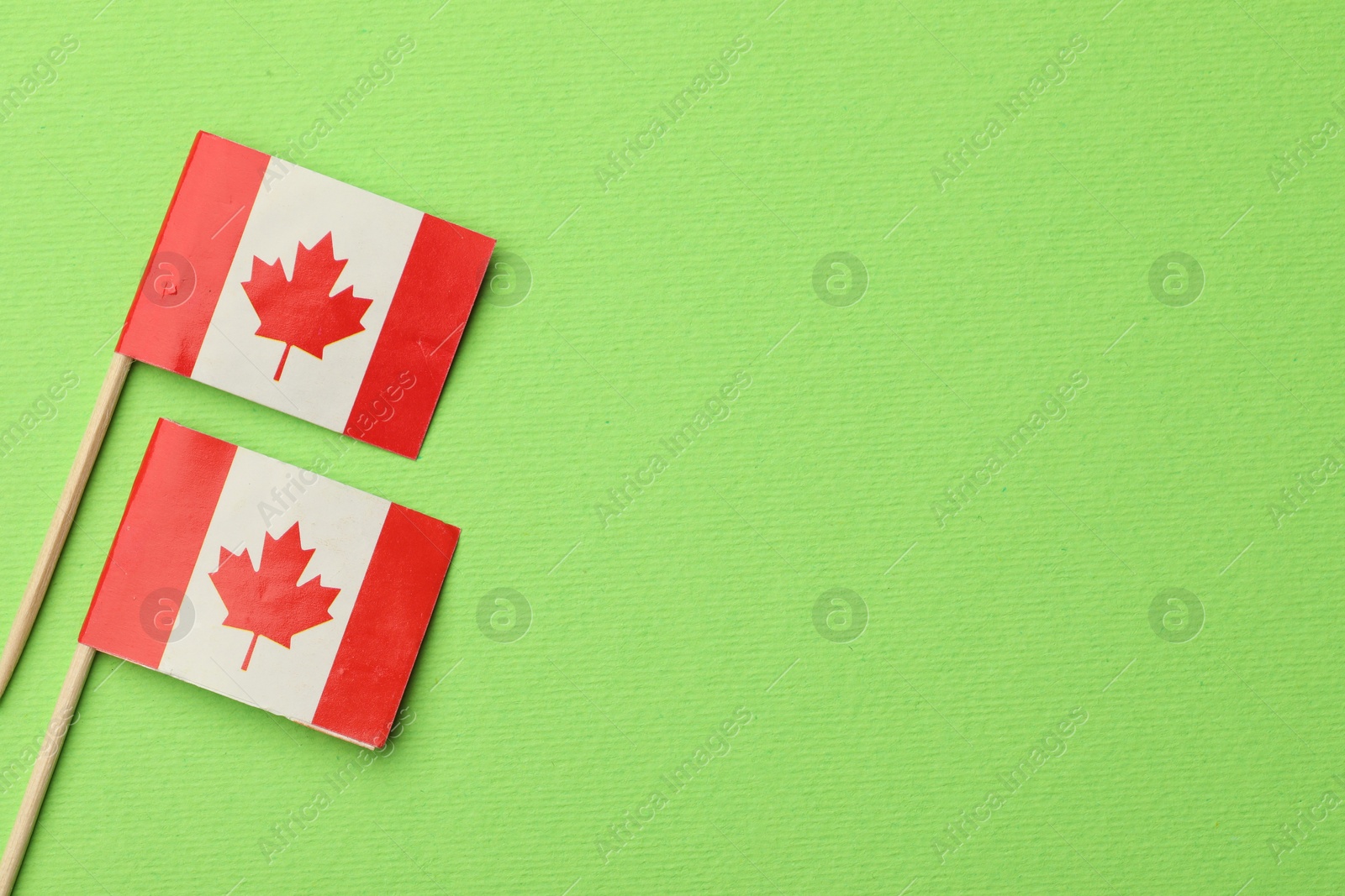 Photo of Small paper flags of Canada on green background, top view. Space for text