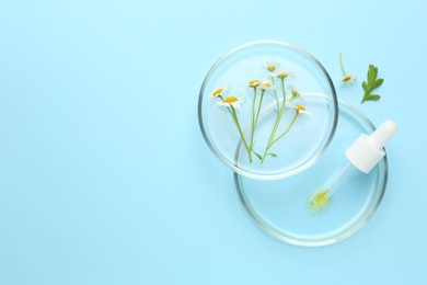 Photo of Petri dishes with chamomile flowers and pipette on light blue background, top view. Space for text