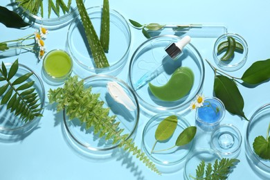 Photo of Petri dishes with different fresh leaves, chamomile flowers and cosmetic products on light blue background, flat lay