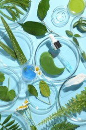 Photo of Petri dishes with different fresh leaves, chamomile flowers and cosmetic products on light blue background, flat lay