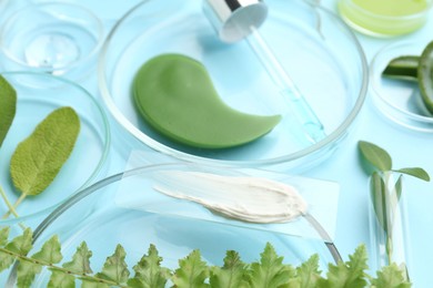 Photo of Petri dishes with different fresh leaves and cosmetic products on light blue background, closeup