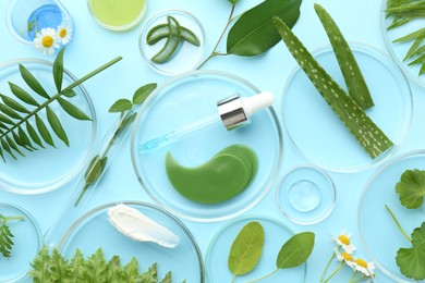 Photo of Petri dishes with different fresh leaves, chamomile flowers and cosmetic products on light blue background, flat lay