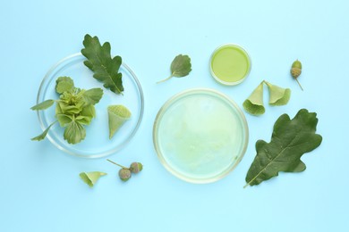 Photo of Petri dishes with samples and different fresh leaves on light blue background, flat lay