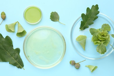 Photo of Petri dishes with samples and different fresh leaves on light blue background, flat lay