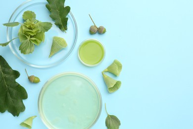 Photo of Petri dishes with samples and different fresh leaves on light blue background, flat lay