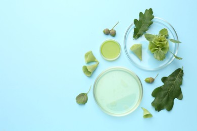 Photo of Petri dishes with samples and different fresh leaves on light blue background, flat lay