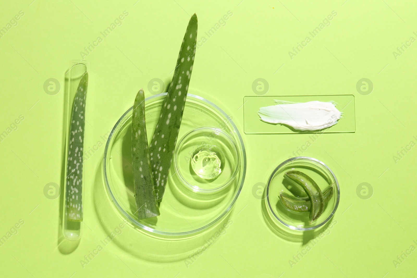 Photo of Petri dishes with fresh leaves and cosmetic products on green background, flat lay