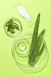 Photo of Petri dishes with fresh leaves and cosmetic products on green background, flat lay