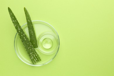 Photo of Petri dishes with gel and fresh aloe vera leaves on green background, top view. Space for text