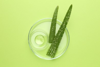 Photo of Petri dishes with gel and fresh aloe vera leaves on green background, top view