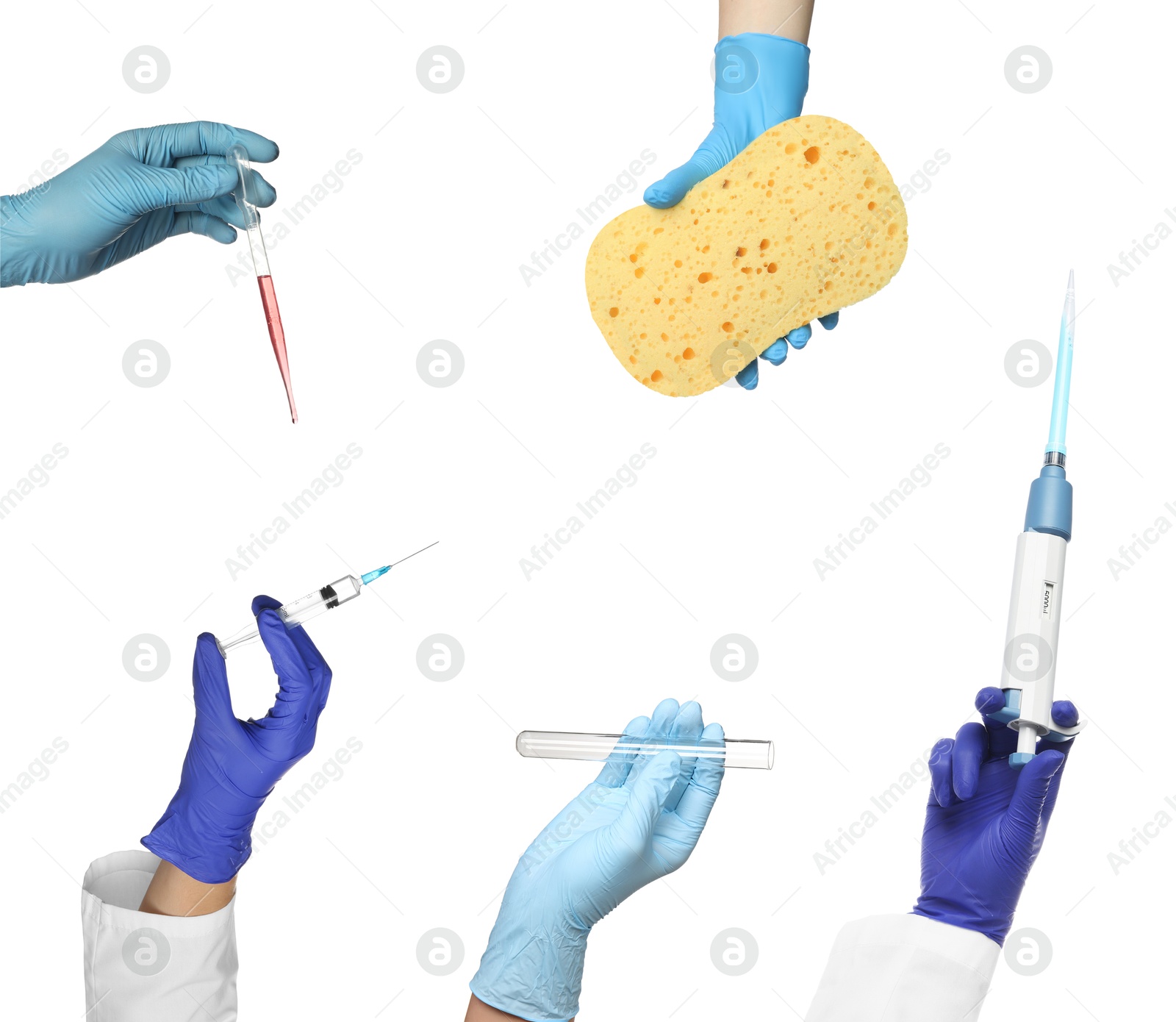 Image of Different professions. Many various tools in people's hands isolated on white, closeup