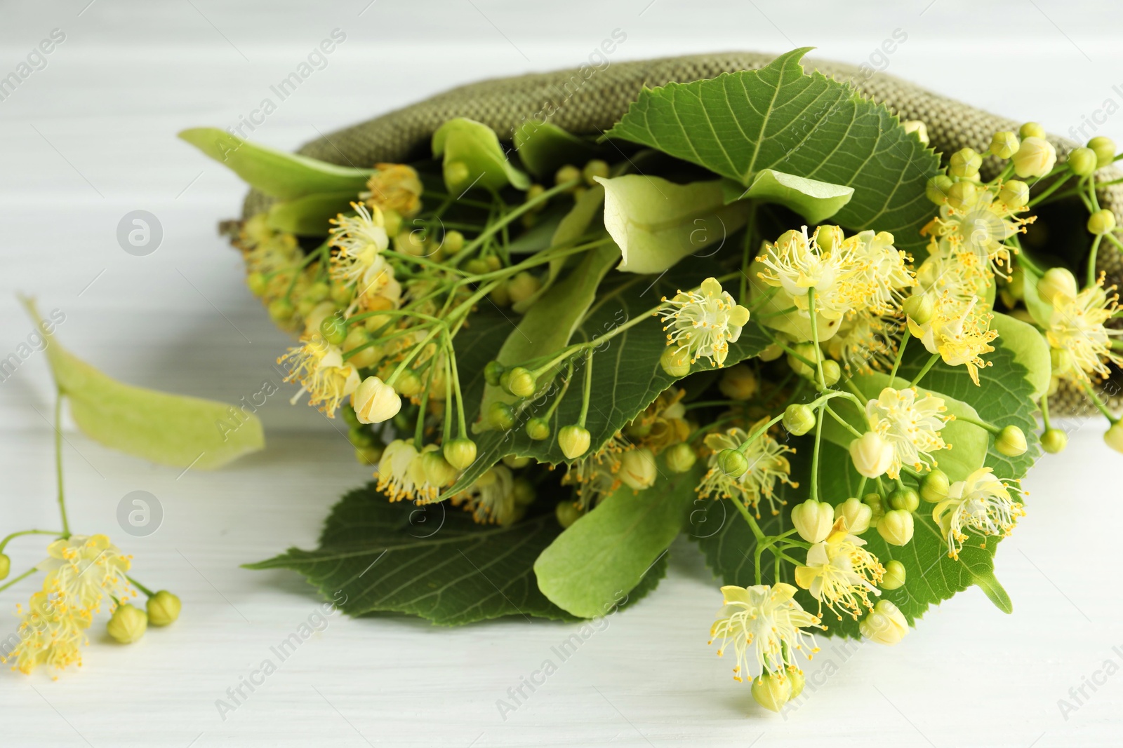 Photo of Fresh linden leaves and flowers on white wooden table, closeup