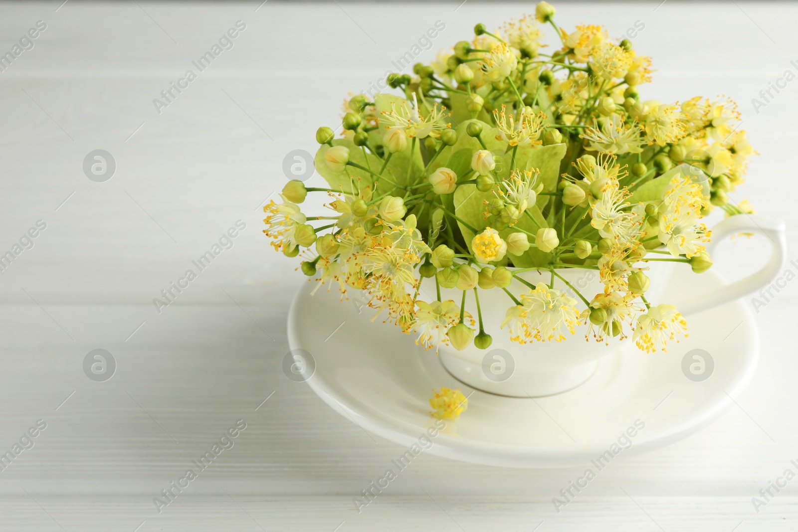 Photo of Fresh linden leaves and flowers in cup on white wooden table, space for text