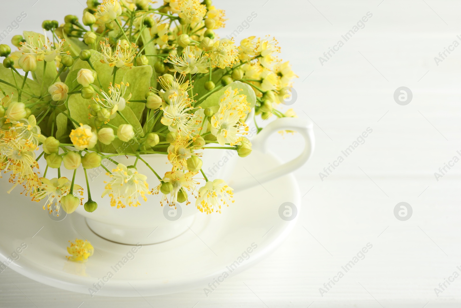 Photo of Fresh linden leaves and flowers in cup on white wooden table, space for text