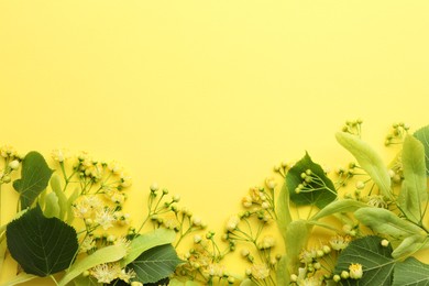 Fresh linden leaves and flowers on yellow background, top view. Space for text