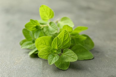 Photo of Sprigs of fresh green oregano on gray table, closeup