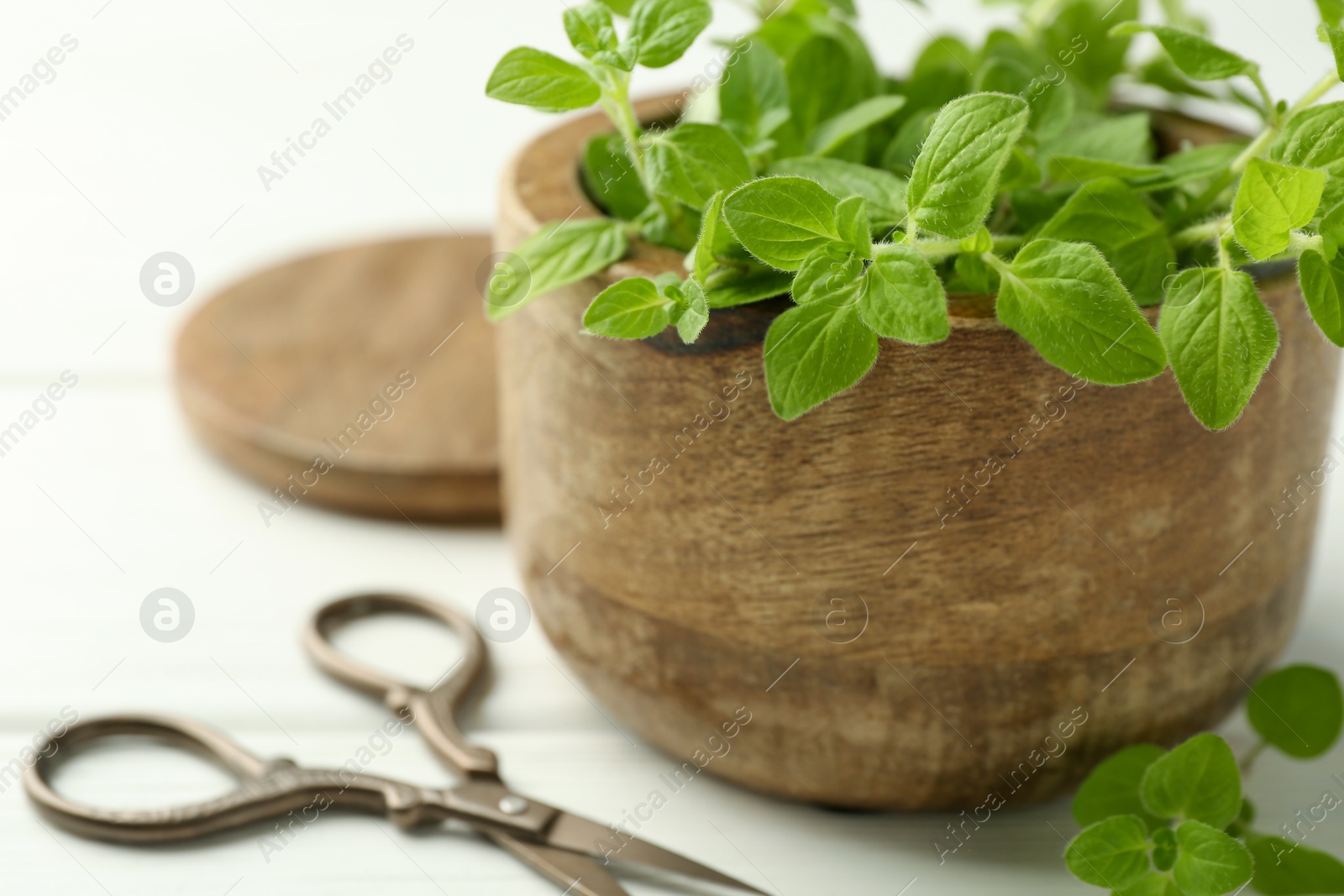 Photo of Sprigs of fresh green oregano in bowl and scissors on white wooden table, closeup