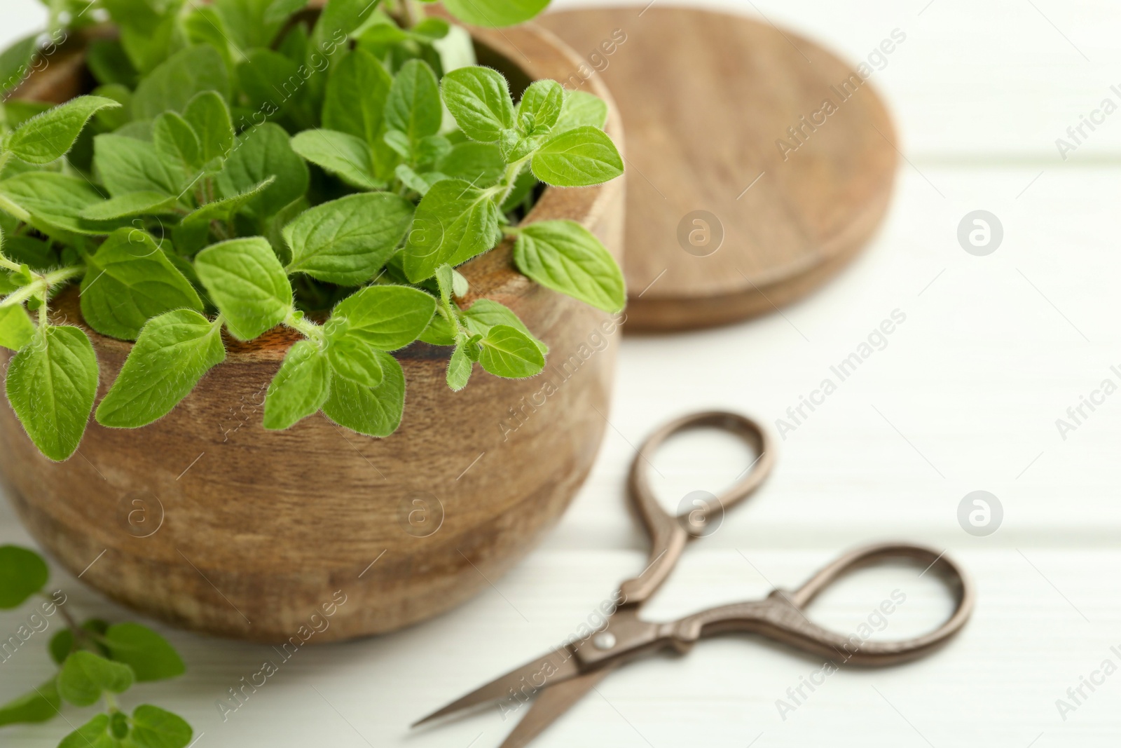 Photo of Sprigs of fresh green oregano in bowl and scissors on white wooden table, closeup