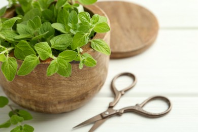 Photo of Sprigs of fresh green oregano in bowl and scissors on white wooden table, closeup