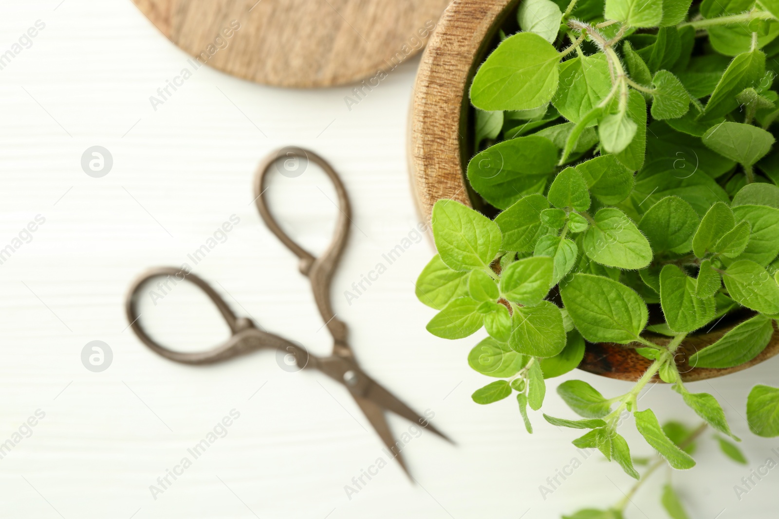 Photo of Sprigs of fresh green oregano and scissors on white wooden table, flat lay