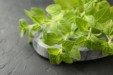 Photo of Sprigs of fresh green oregano on dark gray textured table, closeup