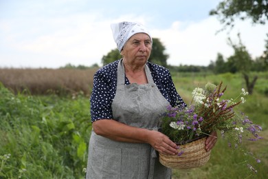 Photo of Senior woman with wildflowers for tincture outdoors