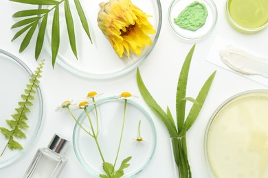 Photo of Petri dishes with green leaves, flowers and cosmetic products on white background, flat lay