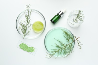 Photo of Petri dishes with green twigs and cosmetic products on white background, flat lay