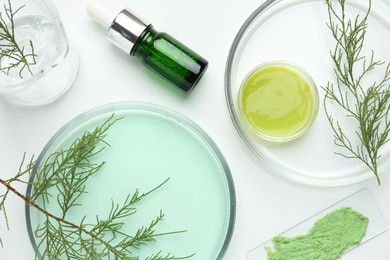 Photo of Petri dishes with green twigs and cosmetic products on white background, flat lay