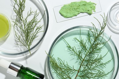 Photo of Petri dishes with green twigs and cosmetic products on white background, flat lay