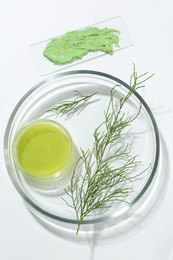 Petri dishes with green twig and cosmetic products on white background, top view