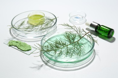 Photo of Petri dishes with green twigs and cosmetic products on white background