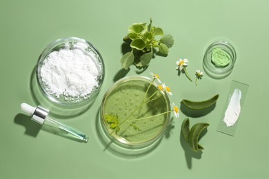 Petri dishes with leaves, chamomile flowers and cosmetic products on green background, flat lay