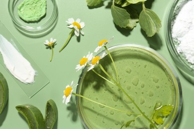 Petri dishes with leaves, chamomile flowers and cosmetic products on green background, flat lay