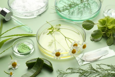 Photo of Petri dishes with leaves, chamomile flowers and cosmetic products on green background