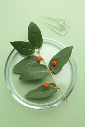 Photo of Petri dish with leaves, berries and gel on green background, top view