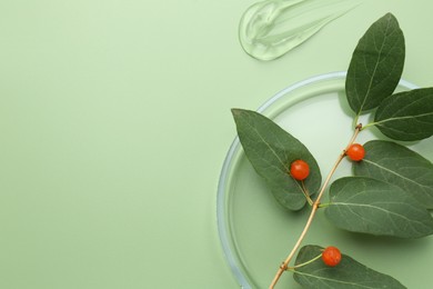 Photo of Petri dish with leaves, berries and gel on green background, top view. Space for text